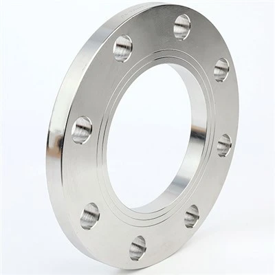 Monel 400 DIN 2573 2576 2502 2503 platta flänsar