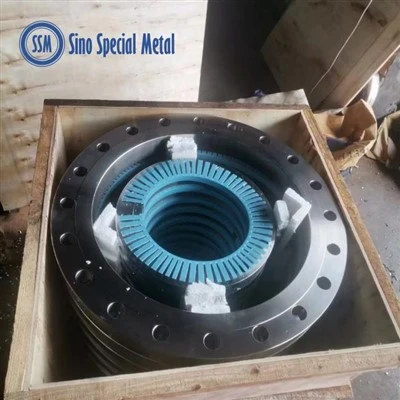 Monel K500 smidd fläns