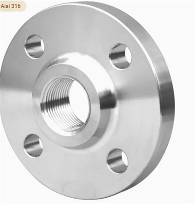 304 316 316L AISI 150 RF FM BSP NPT gängad skruvfläns